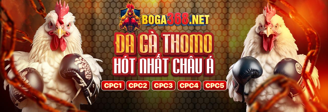Các loại hình cá cược đá gà trực tiếp casino