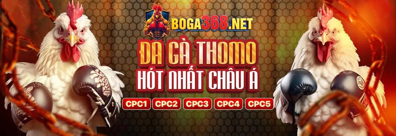 Các loại hình cá cược đá gà trực tiếp casino