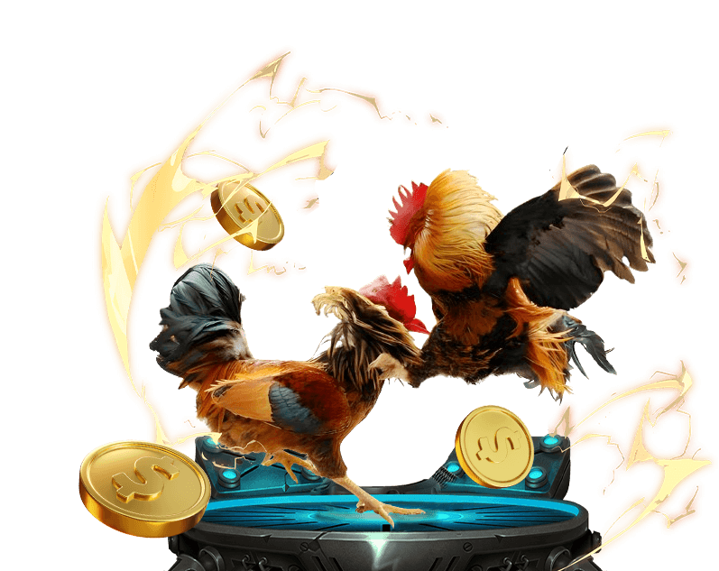 Trực tiếp đá gà casino với hình ảnh sắc nét tại TOT88