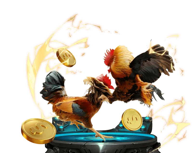 Trận đấu đá gà trực tiếp casino kịch tính tại FA88